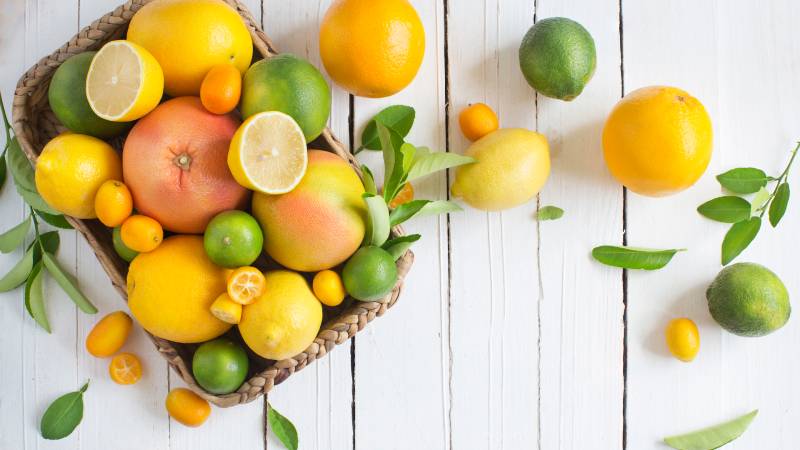 Natural Immunity Boosters for Your Family