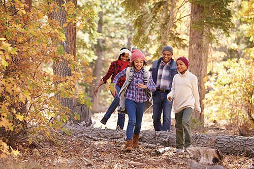 Protect Your Family During Cold Flu Season with Nature-Based Strategies